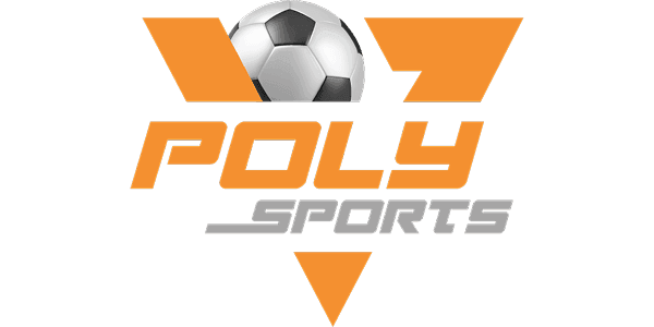 POLY গেম logo